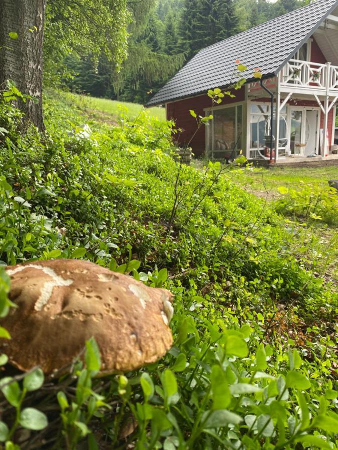 Forest House Targanice Εξωτερικό φωτογραφία