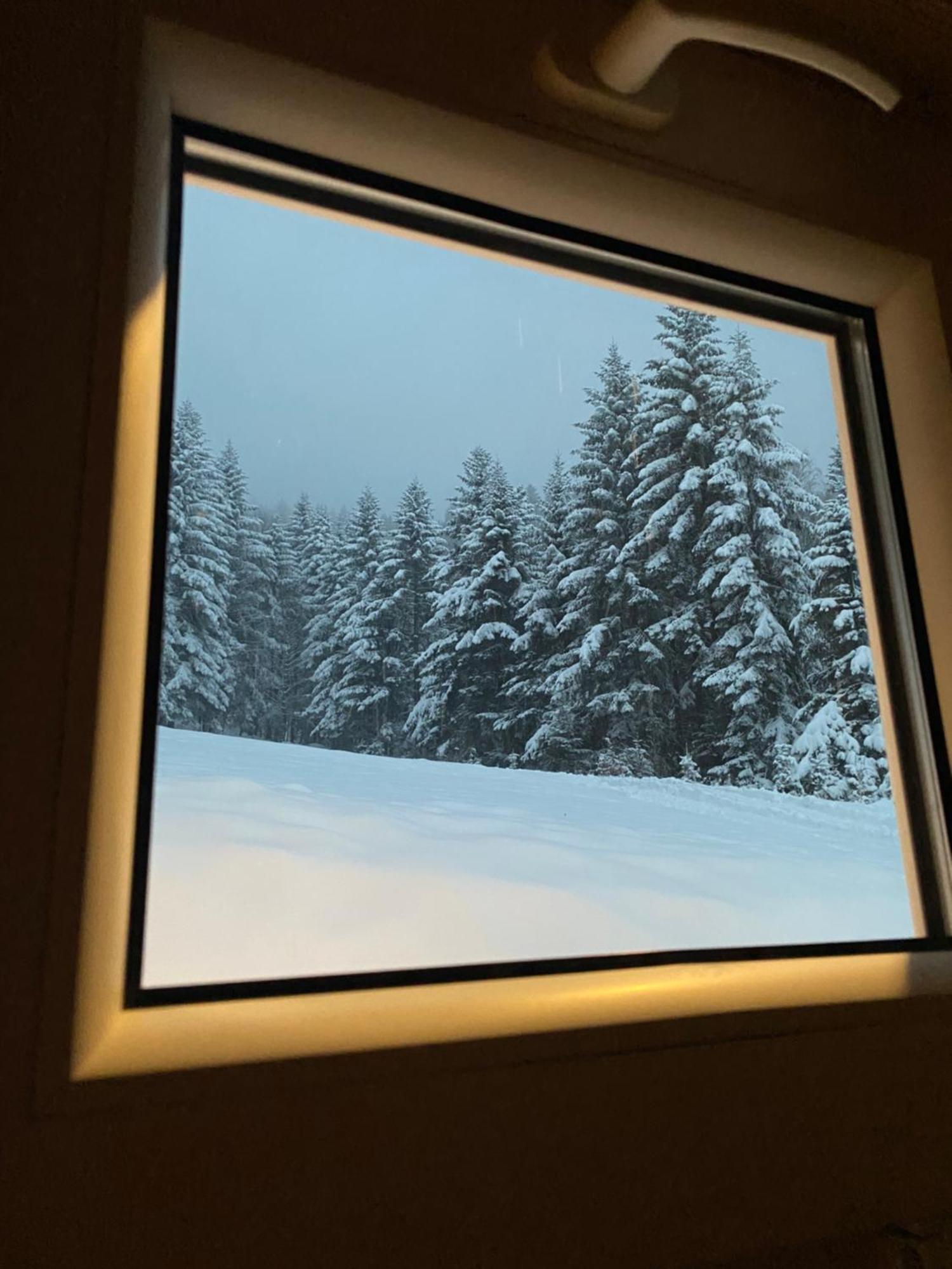 Forest House Targanice Εξωτερικό φωτογραφία