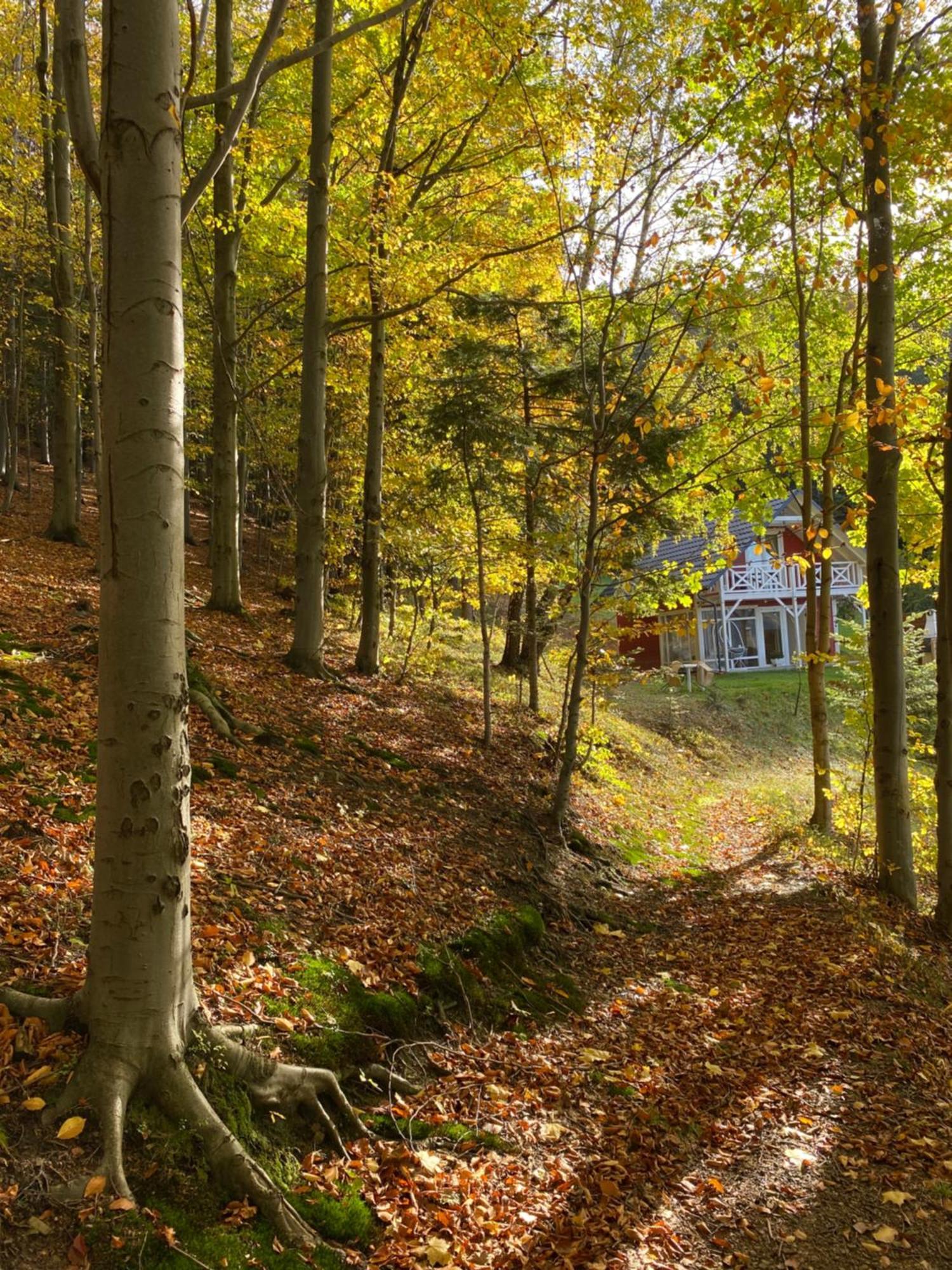 Forest House Targanice Εξωτερικό φωτογραφία