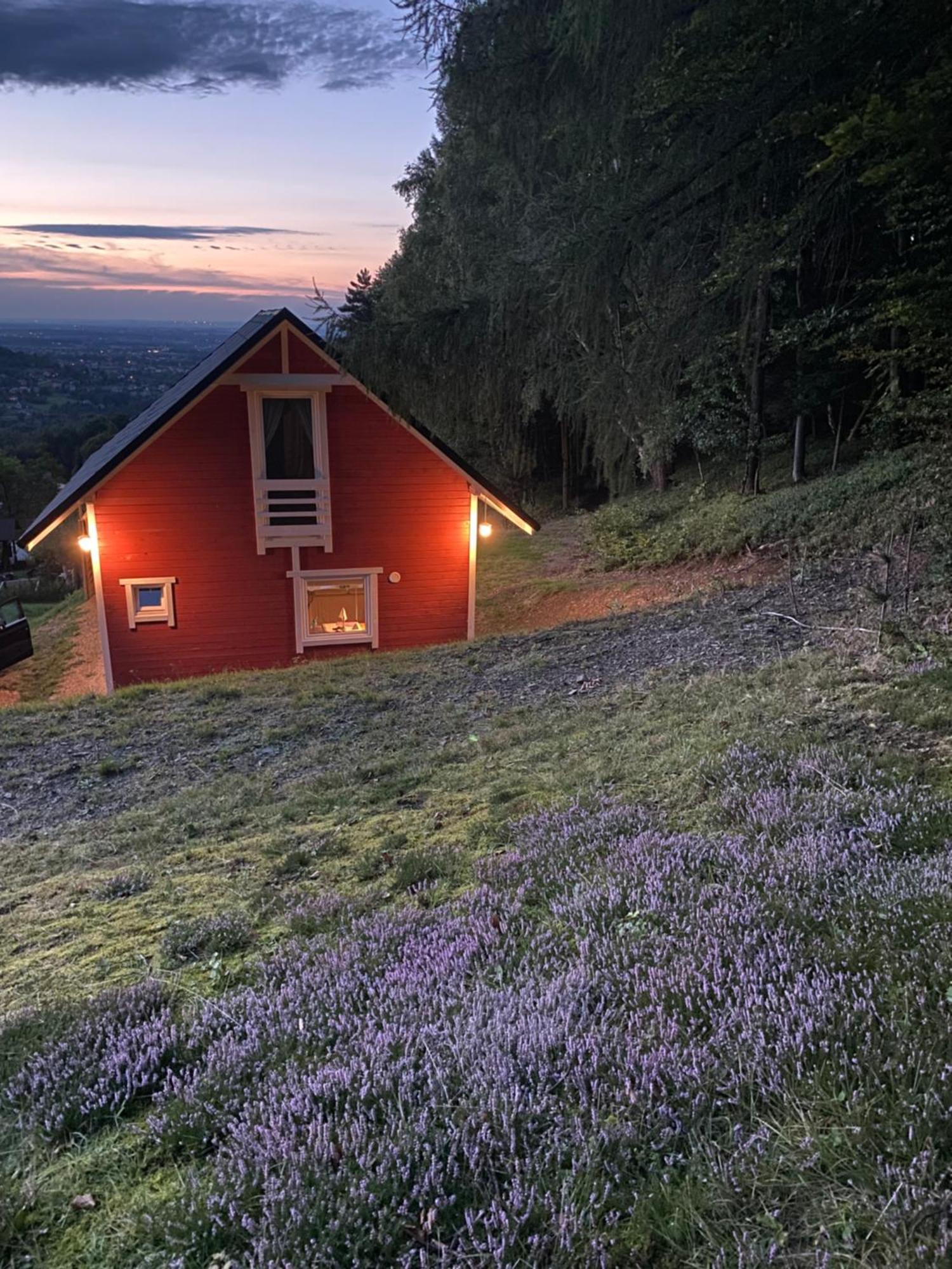 Forest House Targanice Εξωτερικό φωτογραφία